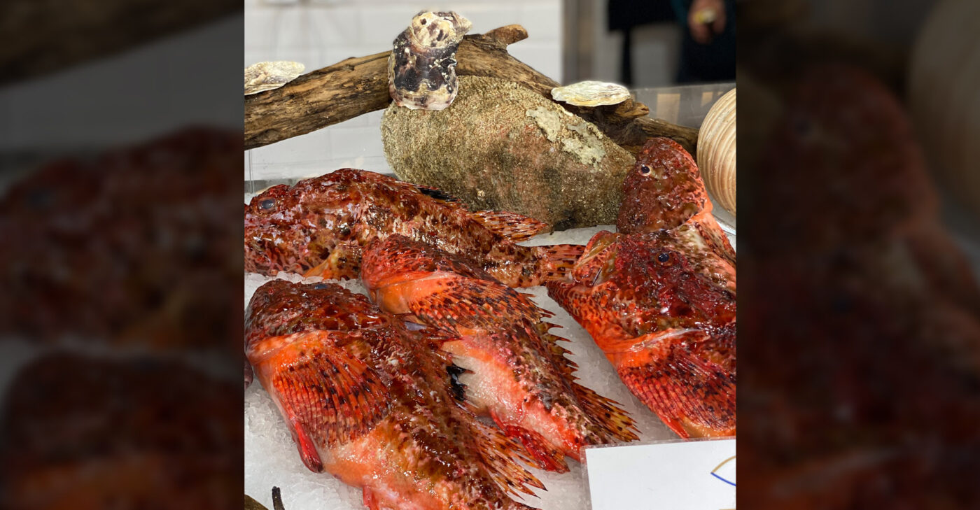 scorpion fish fish market stoupas