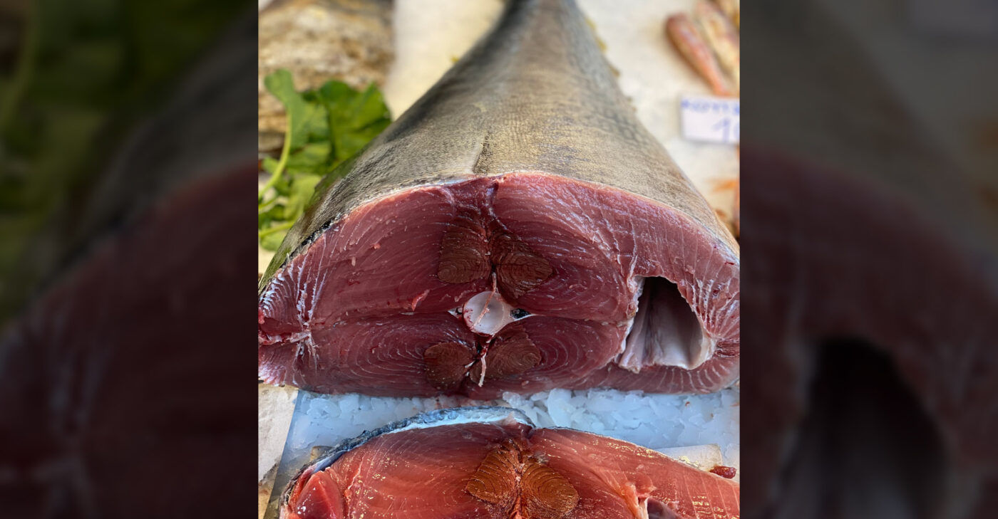 tuna fish market stoupas