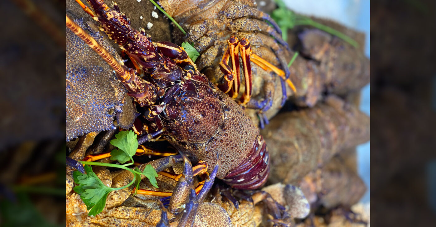 lobster fish market stoupas