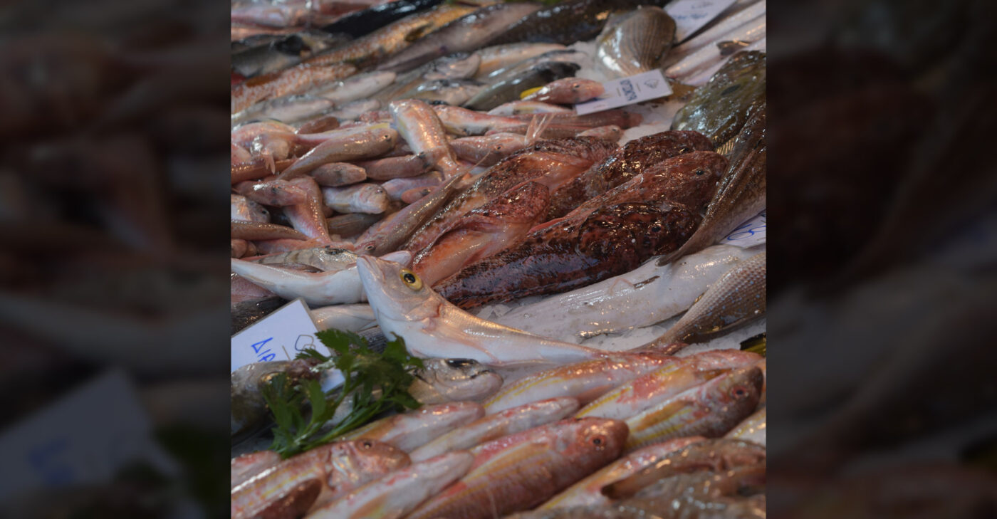 Stoupas fish stall fish market